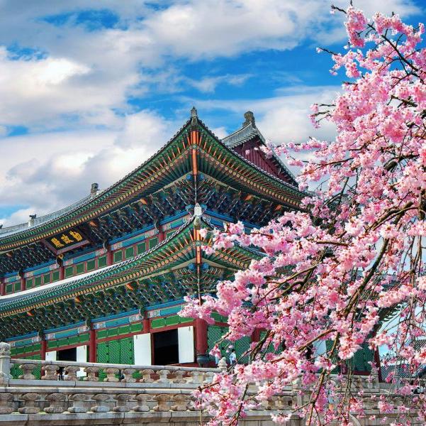Honeymoon Asia