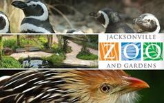 Jacksonville Zoo and Gardens
