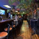 Enchanted Forest Dining Experience