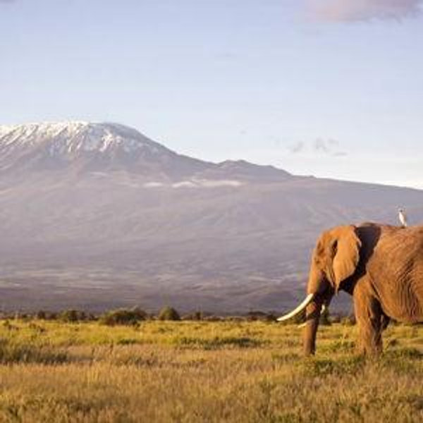 Tanzania Honeymoon Fund!