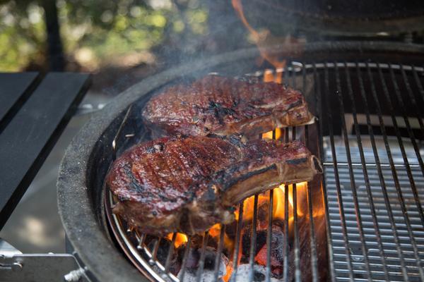 Slow ‘N Sear® 2.0