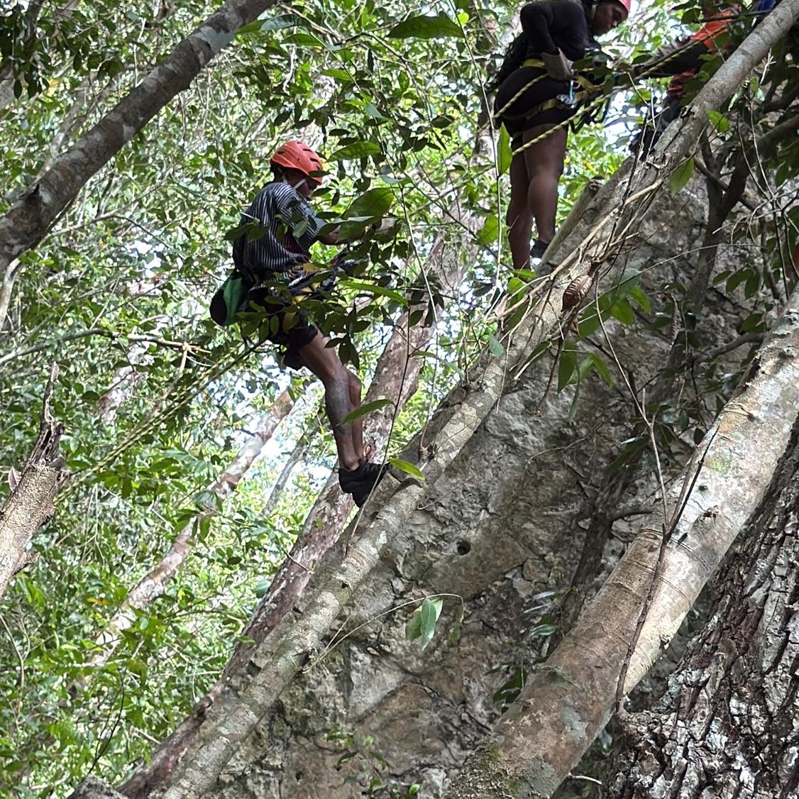 Concurring fears  in Tulum,Mexico 2025