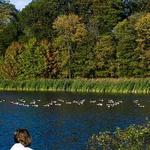 Loantaka Brook Reservation