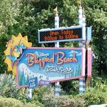 Walt Disney’s World Blizzard Beach Water Park