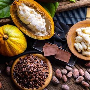 Chocolate and Coffee Tour