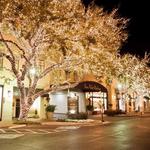 Highland Park Village