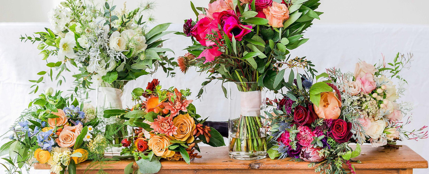 The Wedding Website of Elizabeth Vassilenko and Blair Bianchi