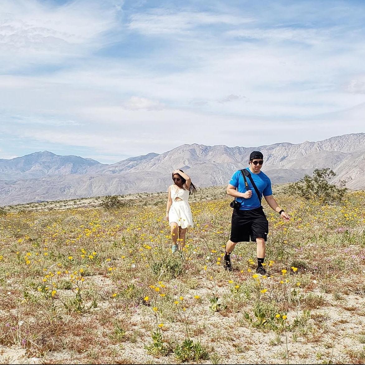 SoCal super bloom. Riverside County (2019)