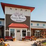 Country Blossom Farm