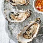 Oysters