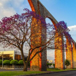 Los Arcos de Querétaro