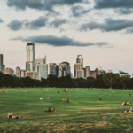 Zilker Metropolitan Park