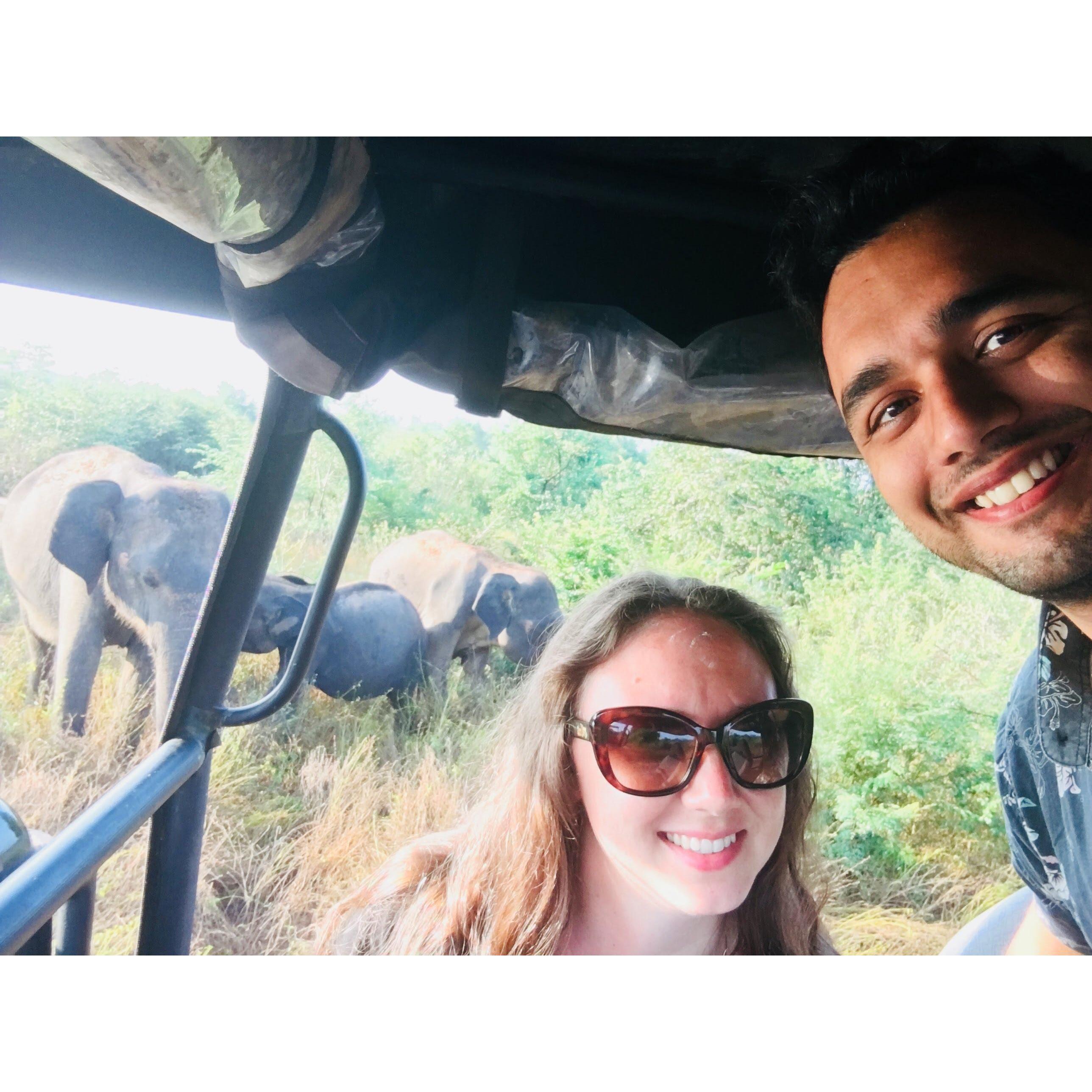 Uda Walawe Safari Sri Lanka