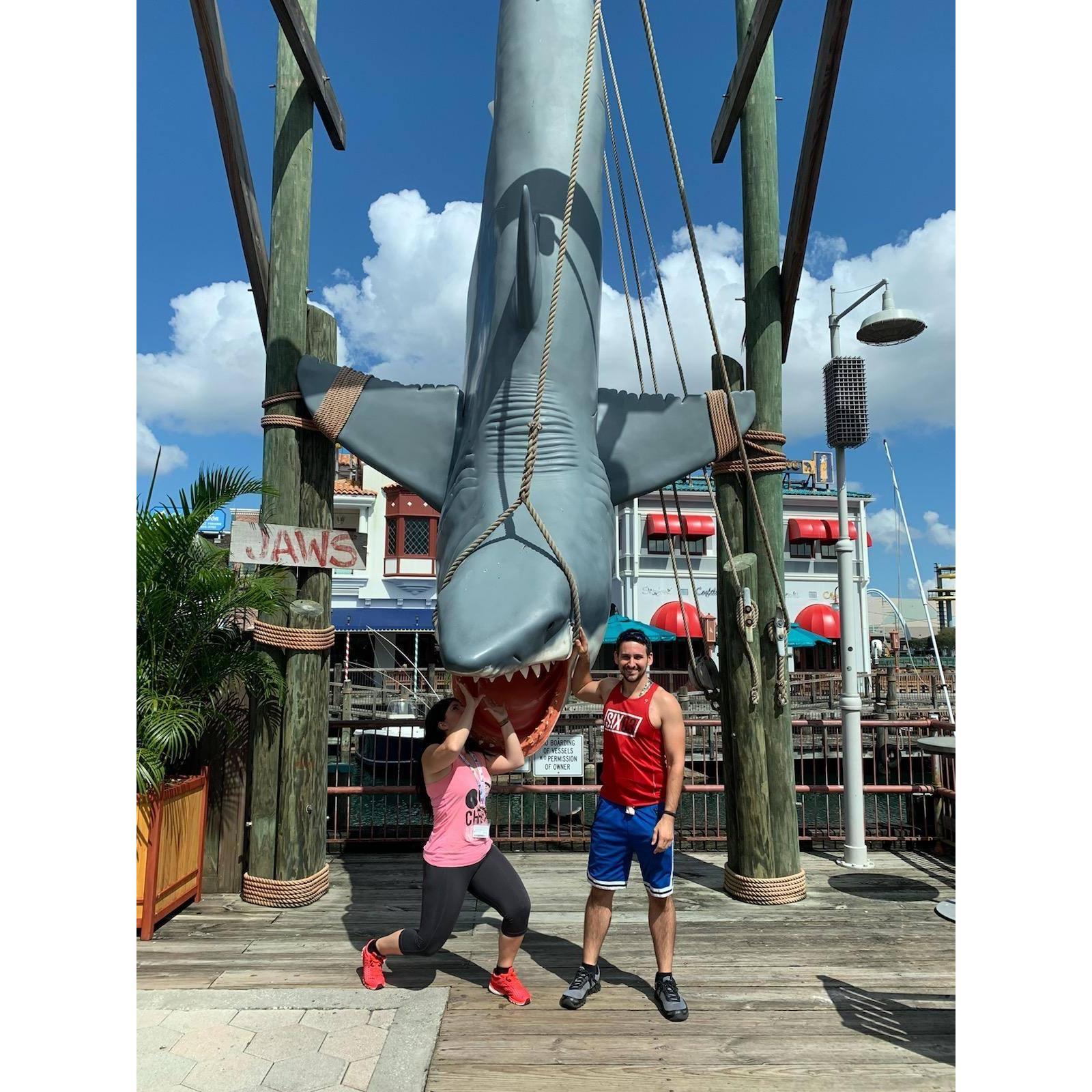Universal Studios