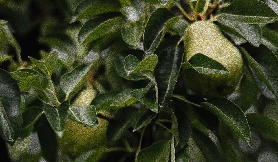 The Wedding Website of erik william marquez and monique chantelle aguirre