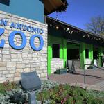 San Antonio Zoo