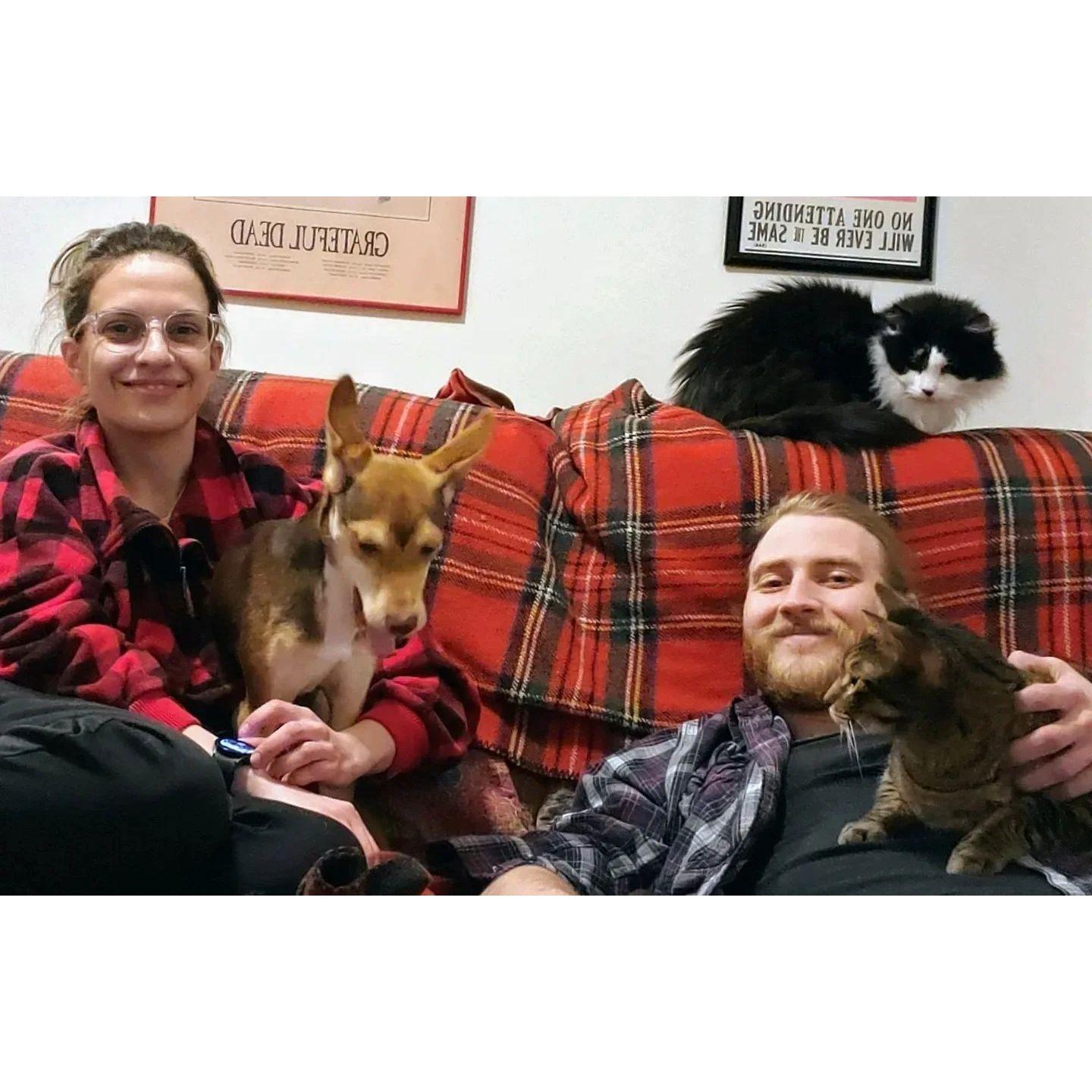 Our little family (December 2022)
