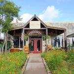 Downtown Salado