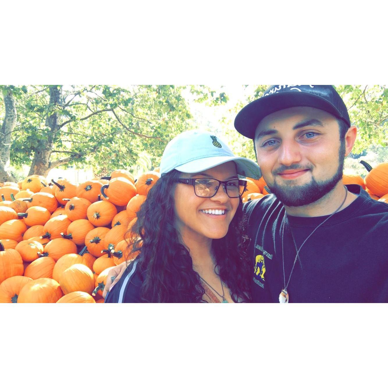 Pumpkin patch!