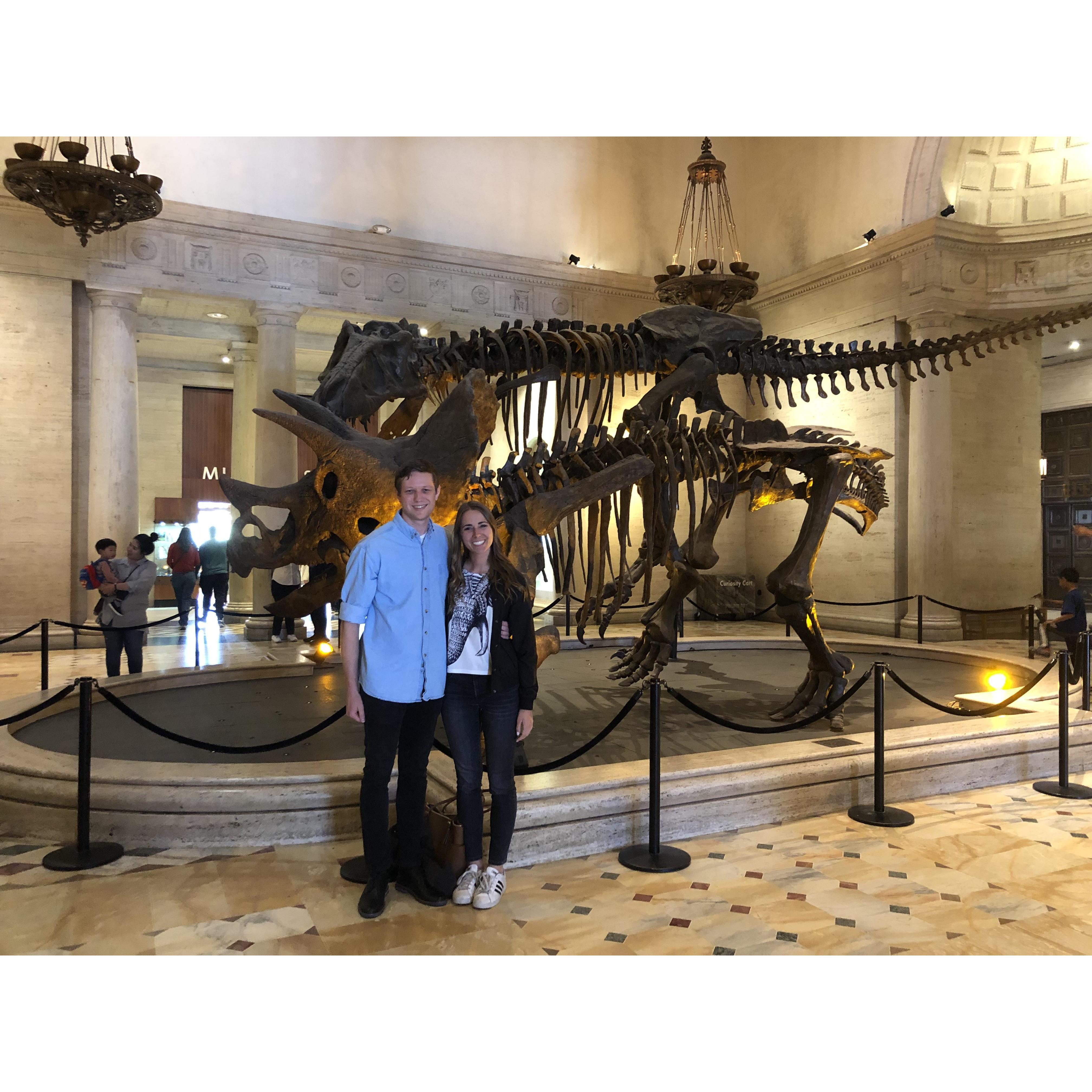Natural History Museum