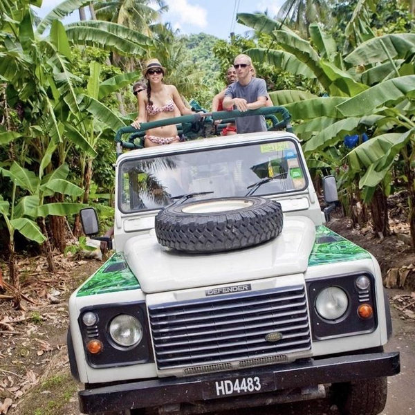 Rainforest Hike & Safari