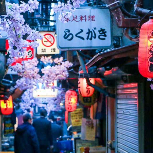 Food Tour in Tokyo