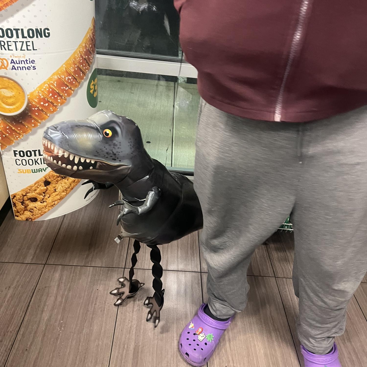 Jenni got Robert a T-rex balloon pet for his birthday. So he took it everywhere.