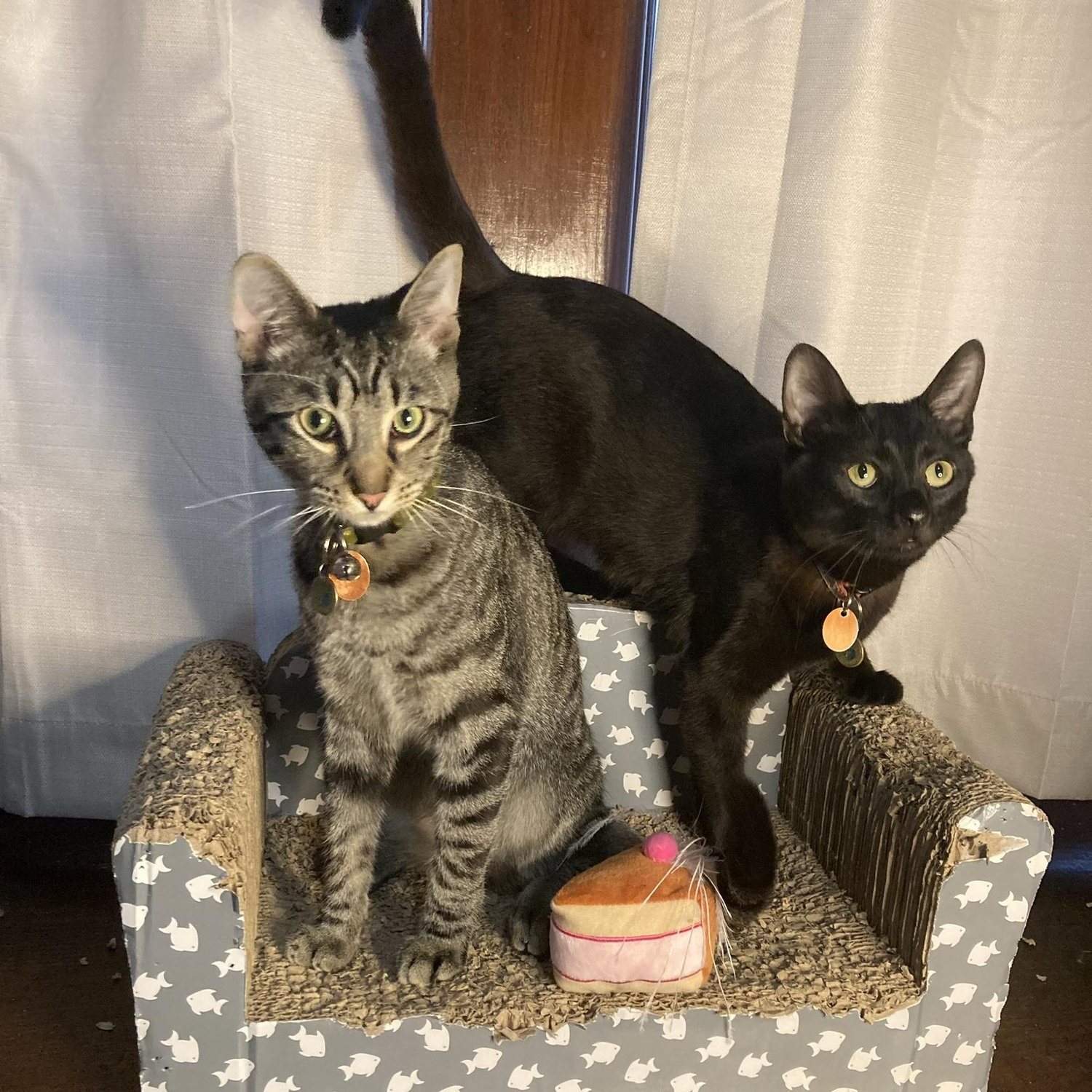 Babies first birthday