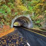 Cades Cove Scenic Loop