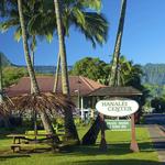 Explore Hanalei Town