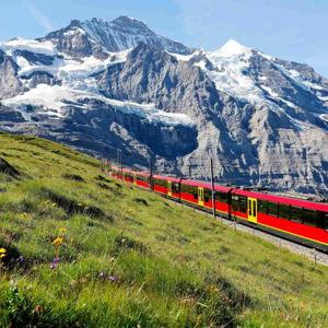 Swiss Half-Fare Cards