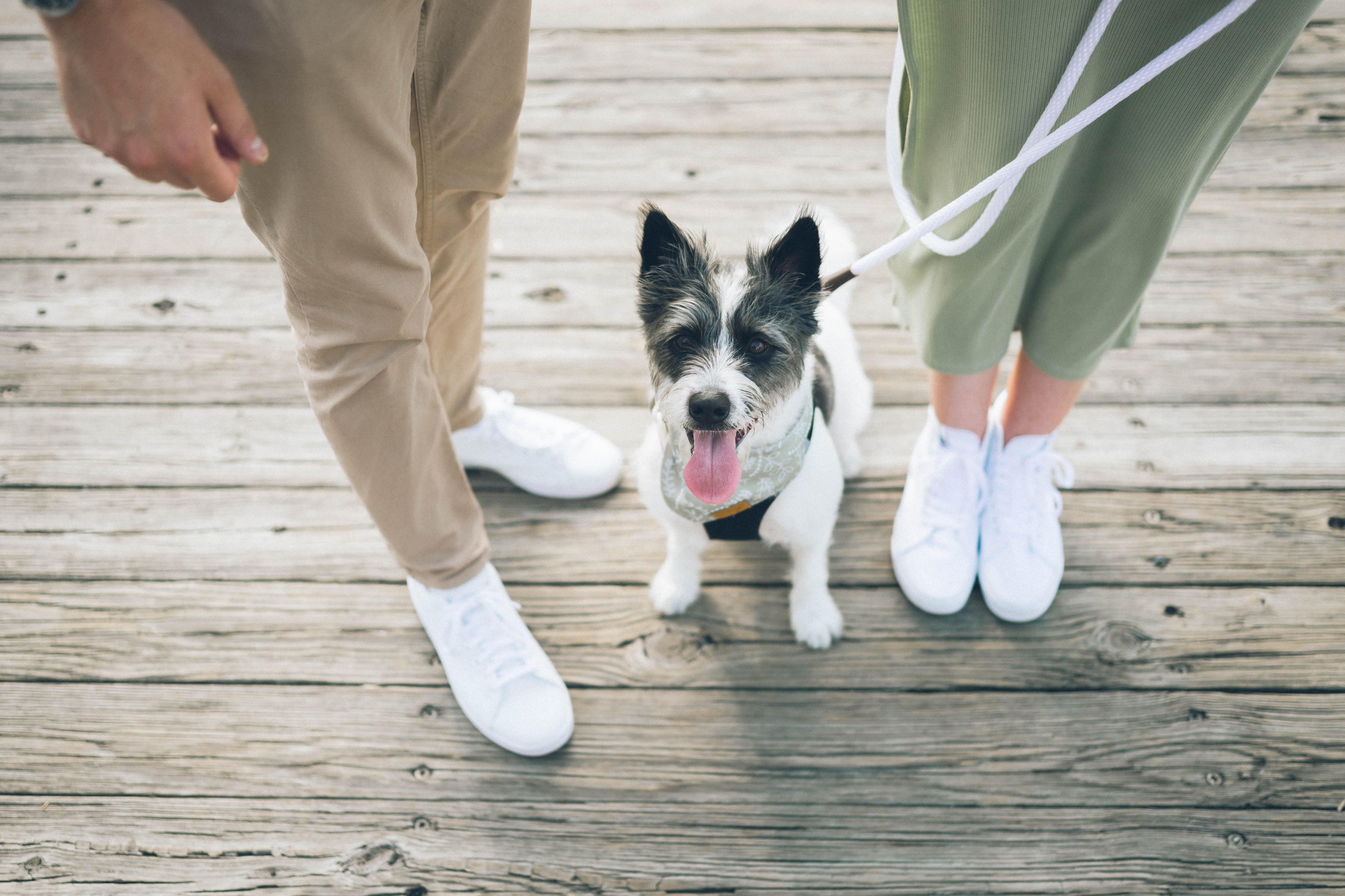 The Wedding Website of Sarah Boyle and Mike Seabrooke
