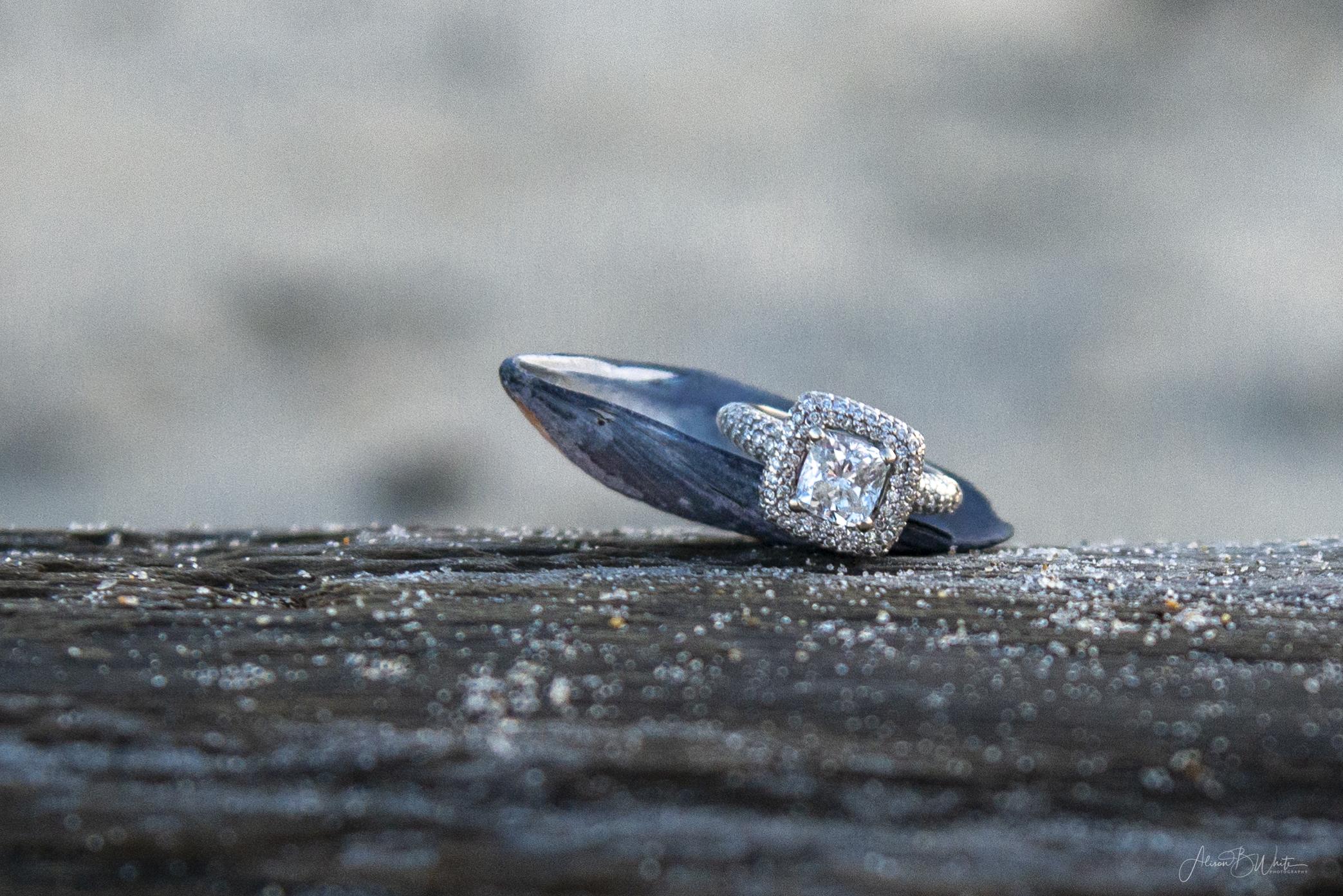 The Wedding Website of Catie White and Joe Thomas