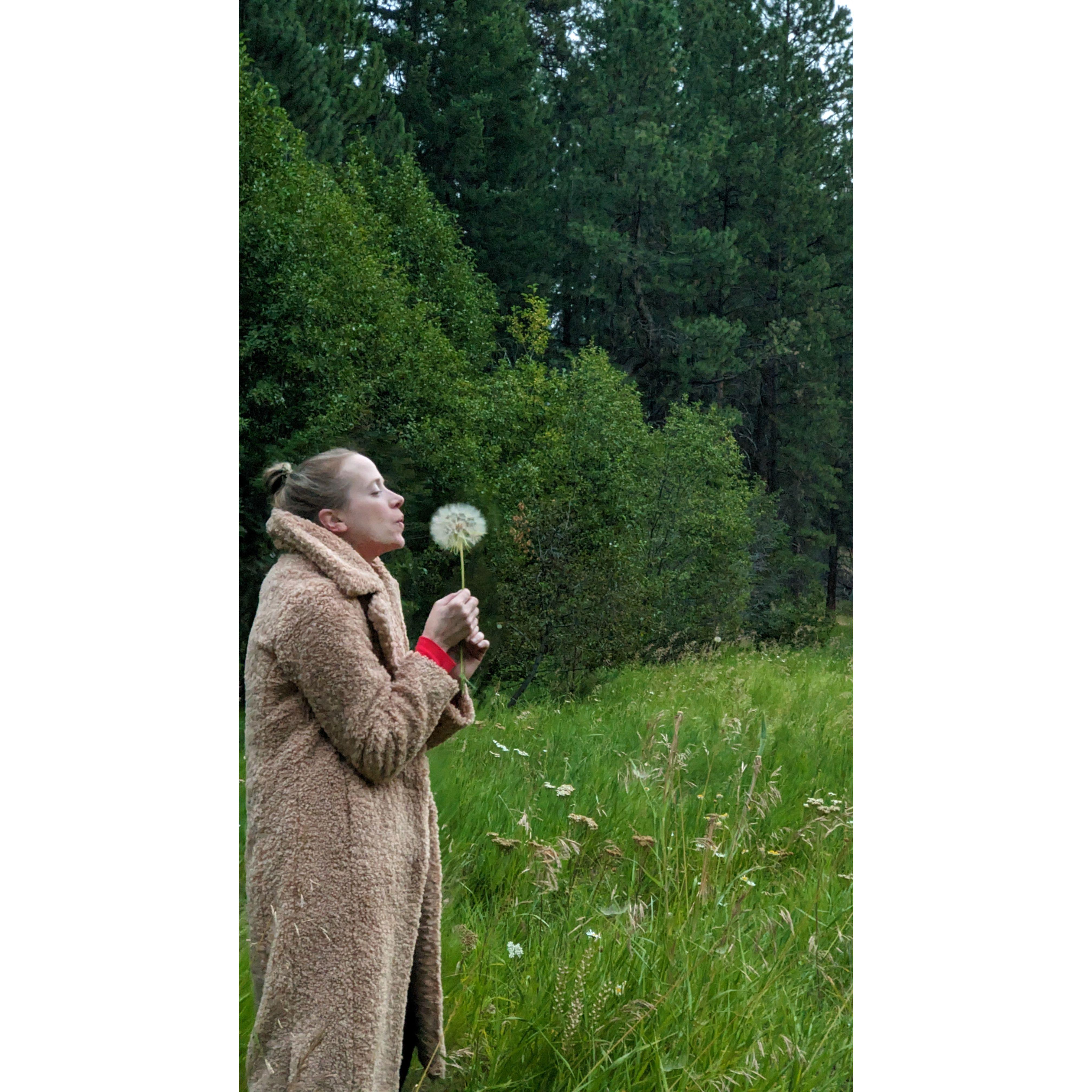 That time Ernie found me the biggest dandelion I've ever seen!