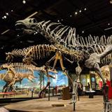 Denver Museum of Nature & Science