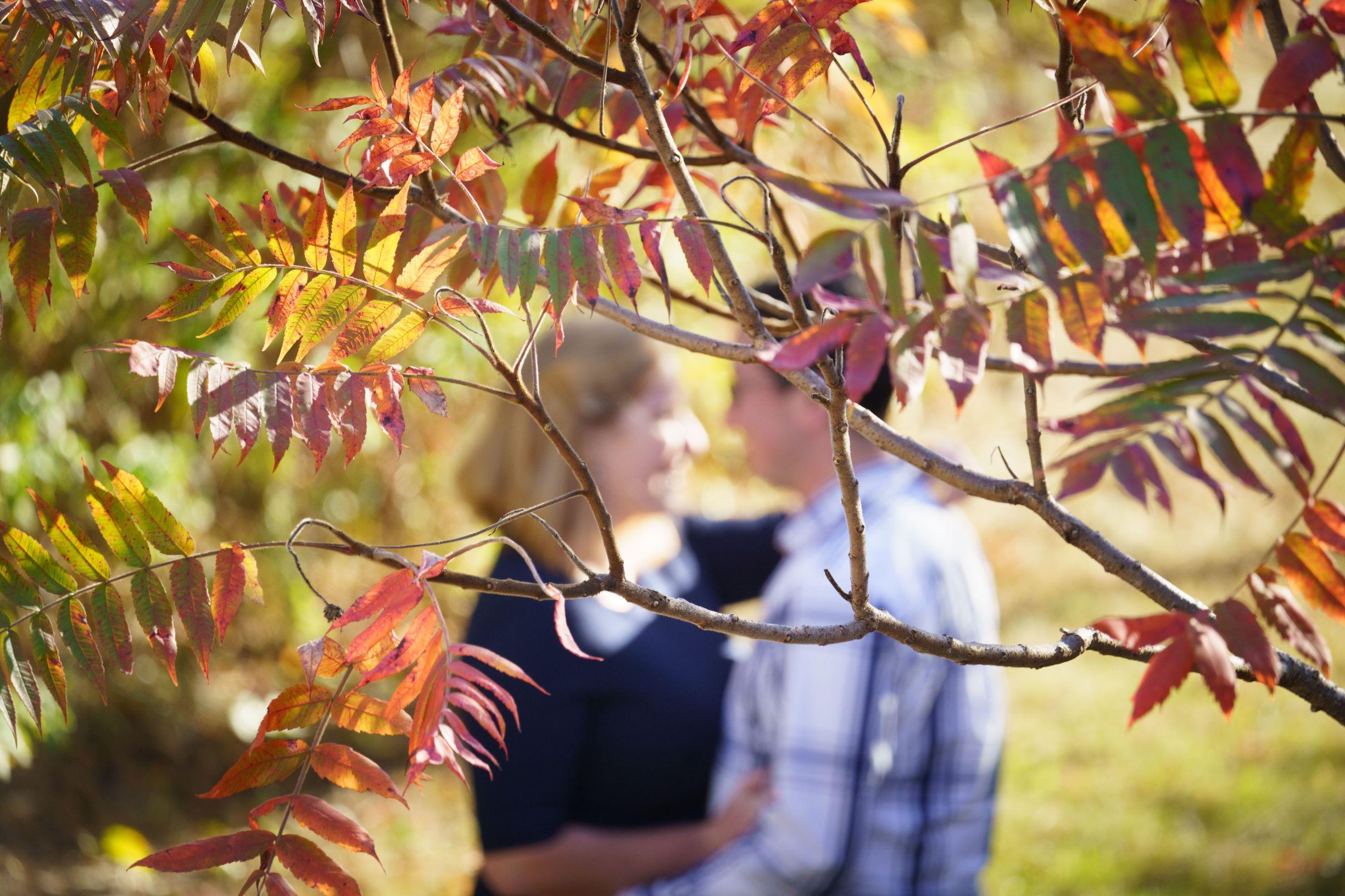 The Wedding Website of Abby Bowden and Brian Bouchard