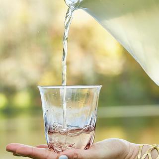 Vienne Short Tumbler