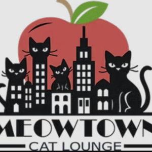 MeowTown Cat Lounge donation