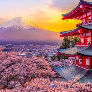 Our Japan Honeymoon Fund
