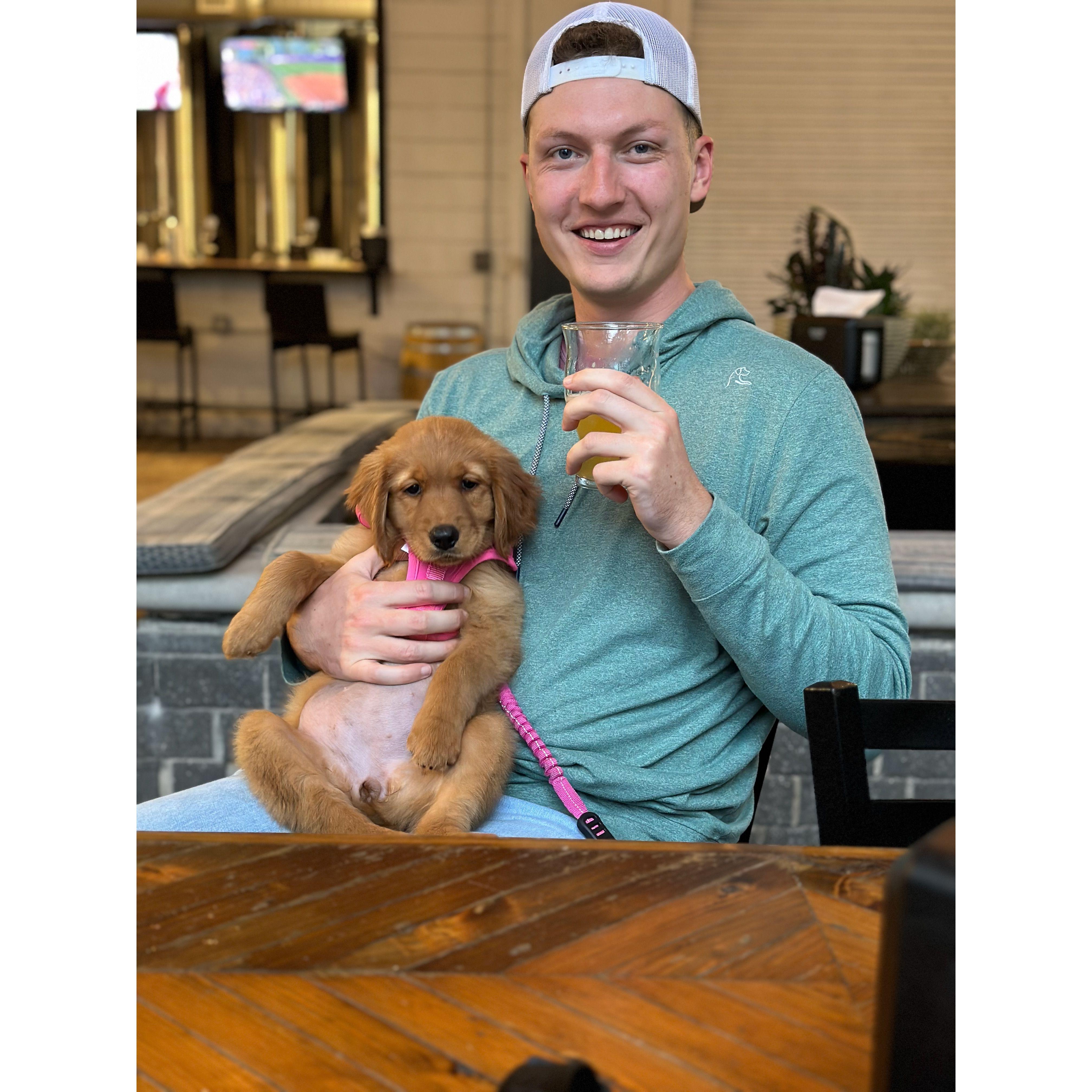 Grady the Brewhound!