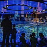 New England Aquarium