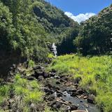 Waimea Valley