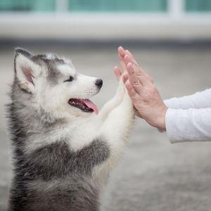 "The First Member of our Family" Fund