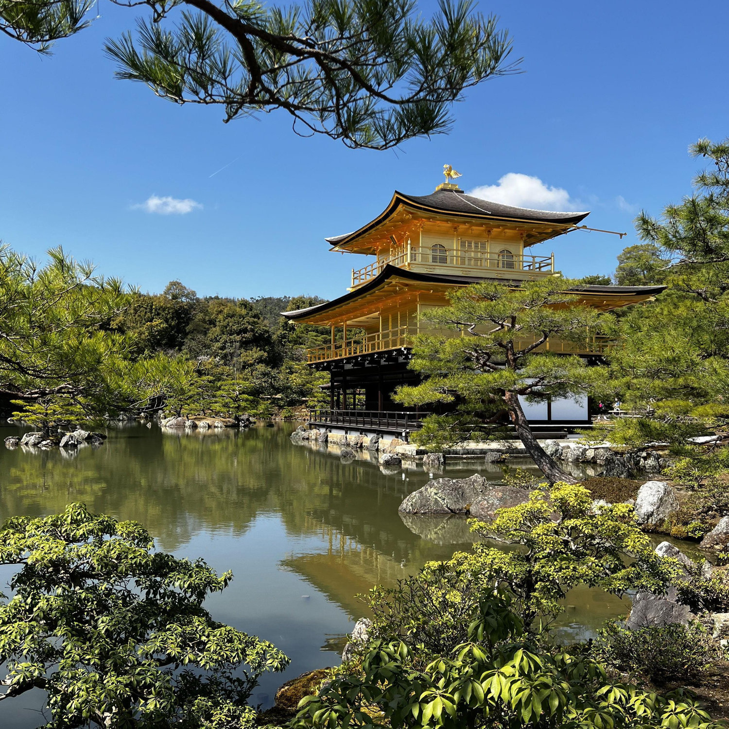 Whoops, how did another Japan photo get in here??