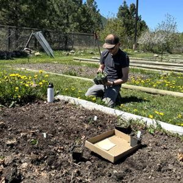 Our Garden