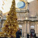 Santa Maria de Montserrat Abbey