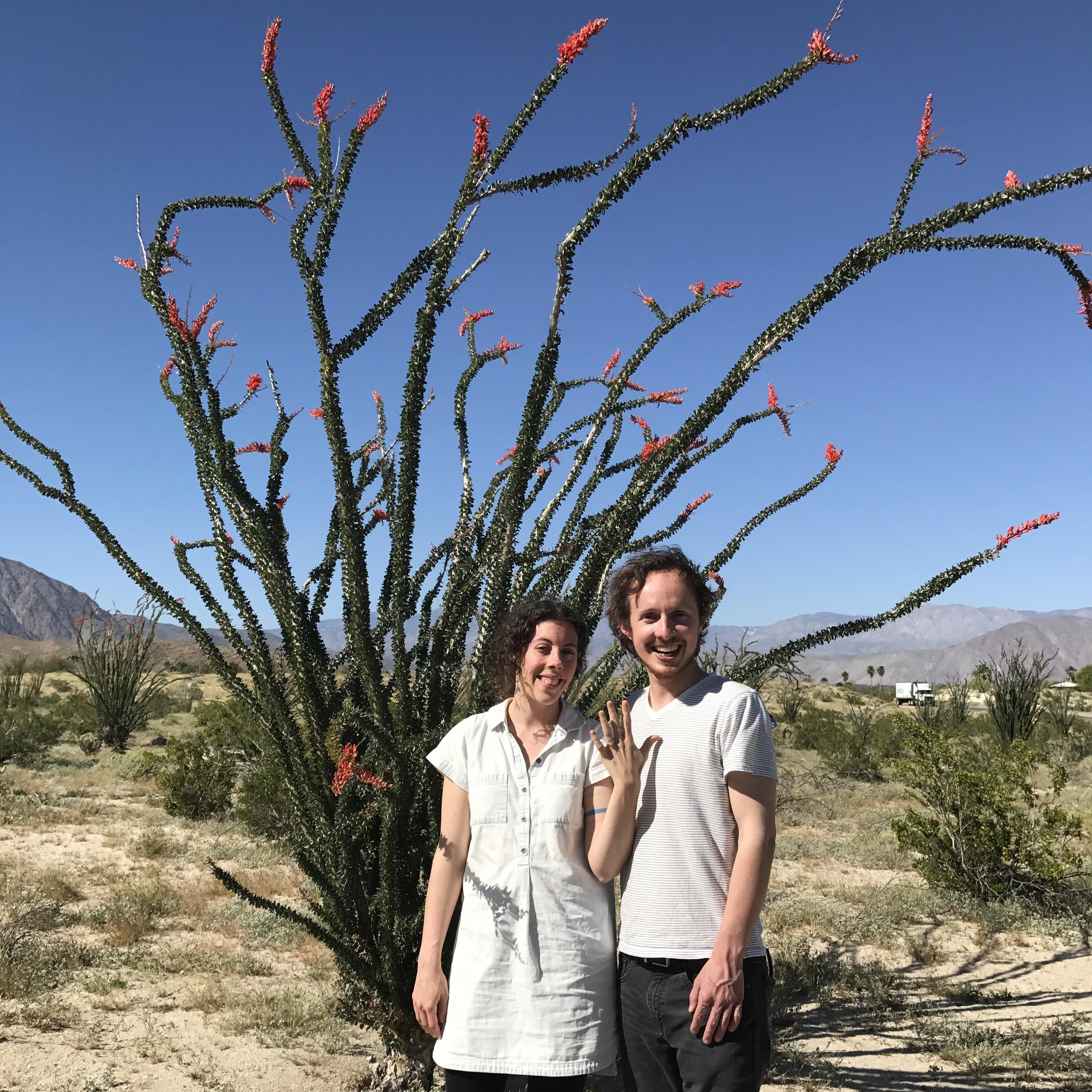 Anza-Borrego Desert engagement! These Octotillo trees may be around in Joshua Tree for our wedding, too!