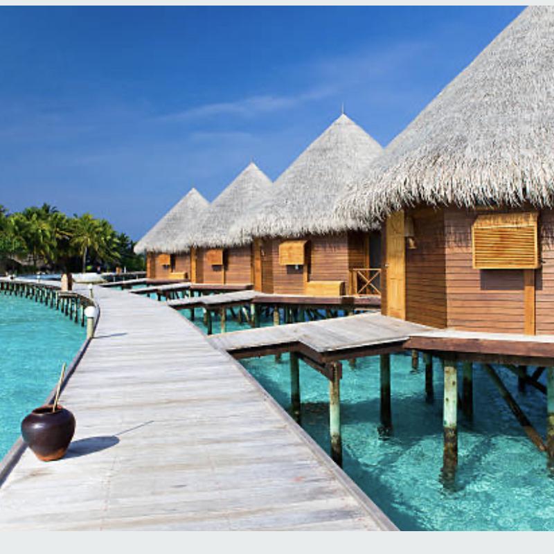 Honeymoon Fund