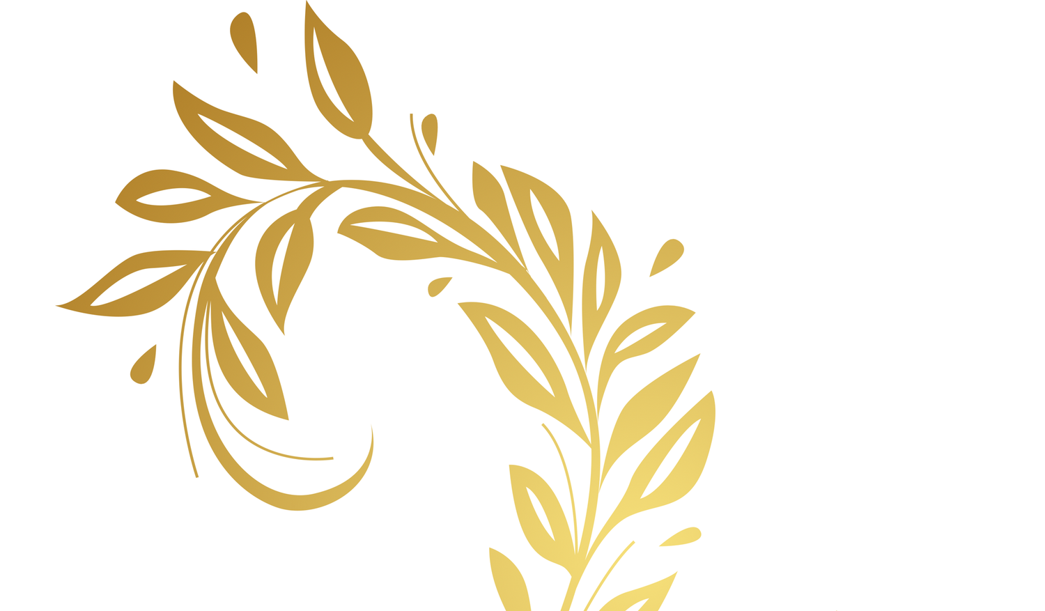 Footer image