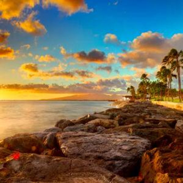 Hawaii Honeymoon Fund